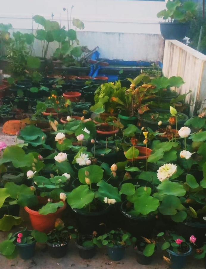 Raelyn'S Homestay Kochi Luaran gambar