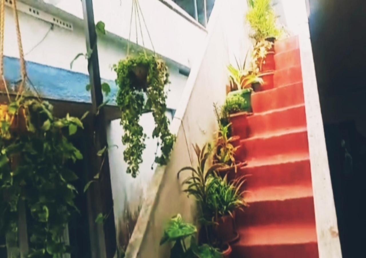 Raelyn'S Homestay Kochi Luaran gambar